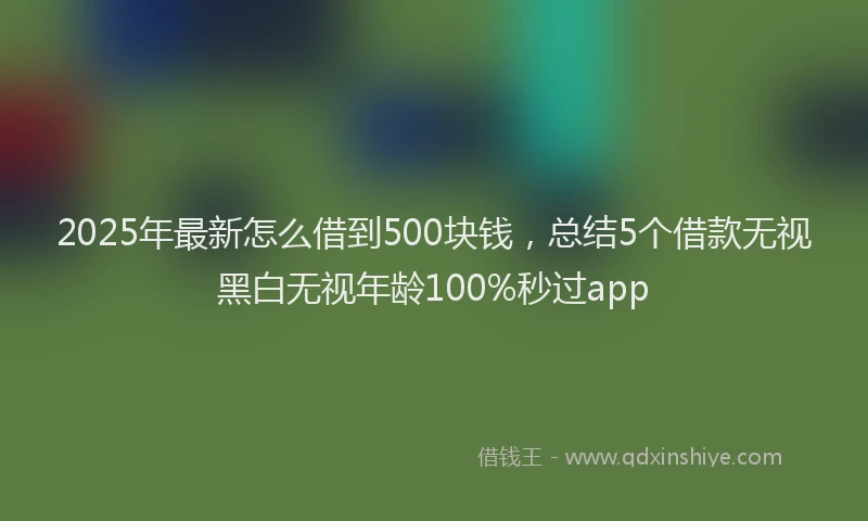 2025年最新怎么借到500块钱，总结5个借款无视黑白无视年龄100%秒过app