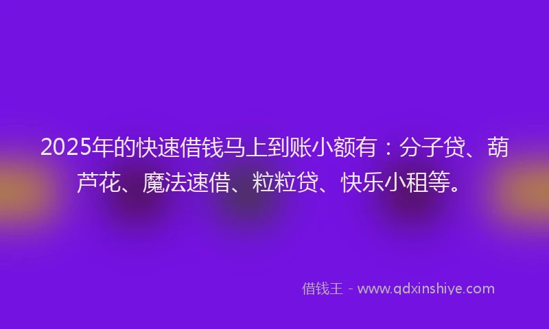 2025年的快速借钱马上到账小额有：分子贷、葫芦花、魔法速借、粒粒贷、快乐小租等。