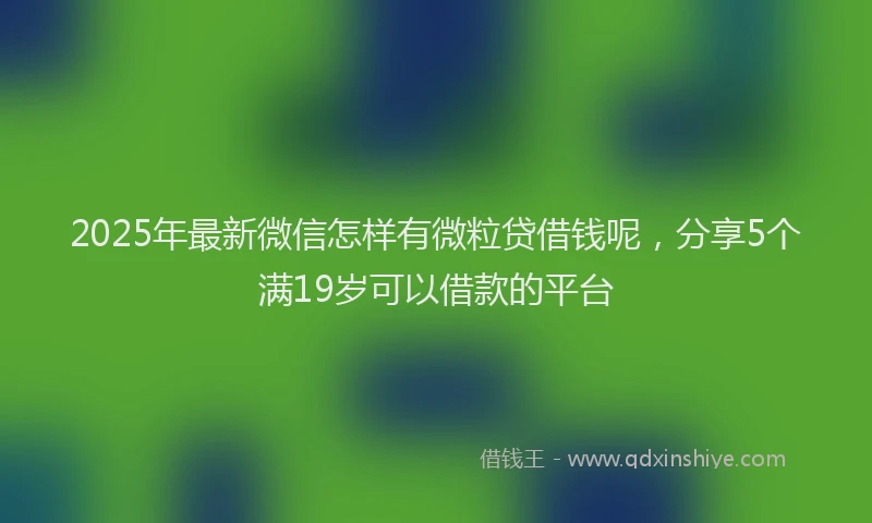 2025年最新微信怎样有微粒贷借钱呢，分享5个满19岁可以借款的平台