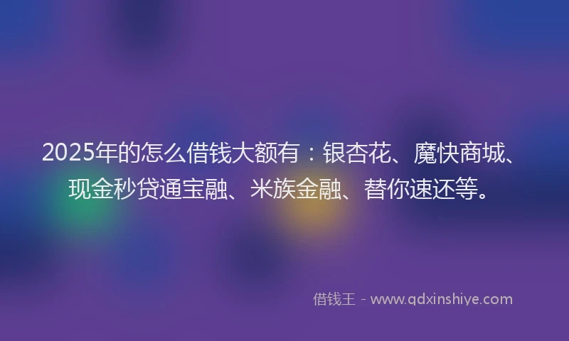 2025年的怎么借钱大额有：银杏花、魔快商城、现金秒贷通宝融、米族金融、替你速还等。