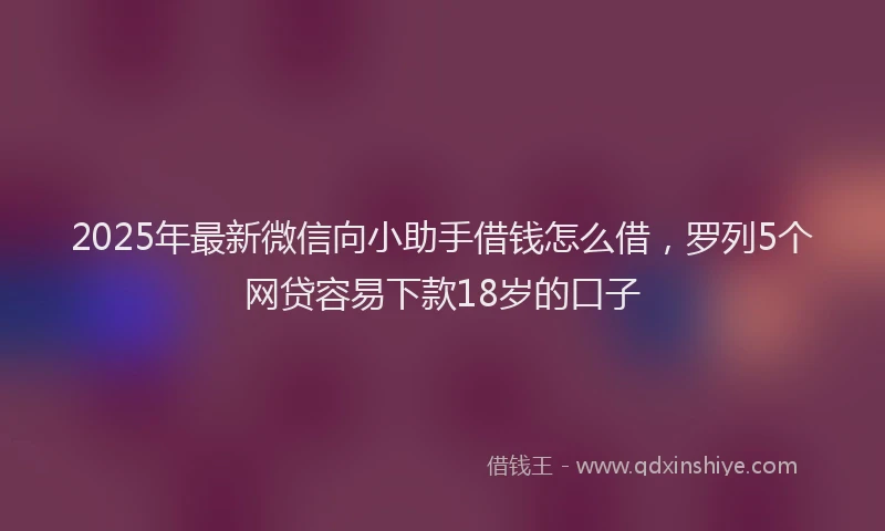 2025年最新微信向小助手借钱怎么借，罗列5个网贷容易下款18岁的口子