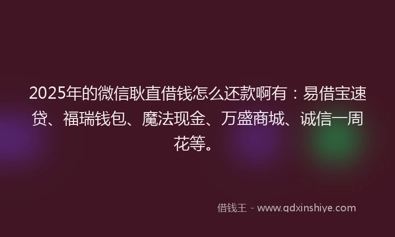 2025年的微信耿直借钱怎么还款啊有：易借宝速贷、福瑞钱包、魔法现金、万盛商城、诚信一周花等。