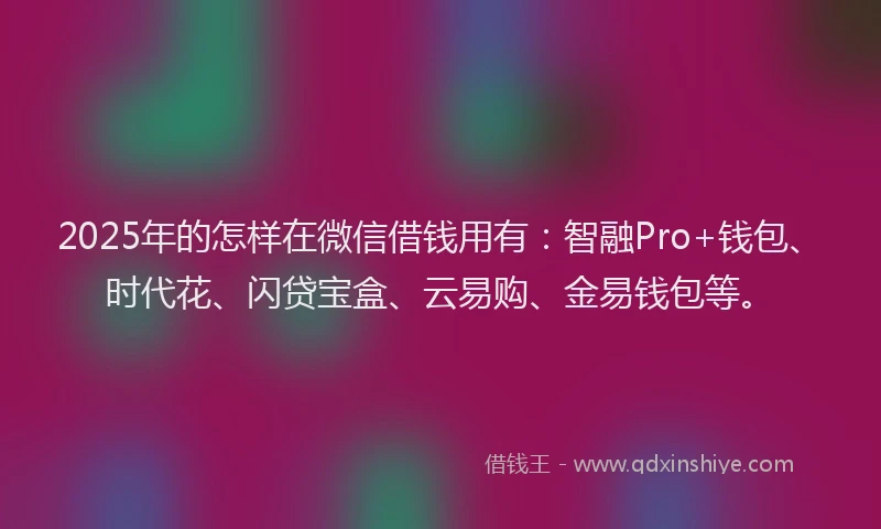 2025年的怎样在微信借钱用有：智融Pro+钱包、时代花、闪贷宝盒、云易购、金易钱包等。