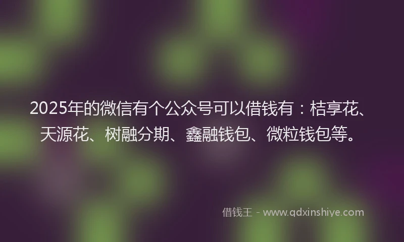 2025年的微信有个公众号可以借钱有：桔享花、天源花、树融分期、鑫融钱包、微粒钱包等。
