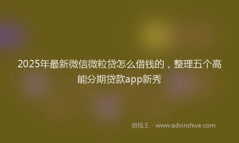 2025年最新微信微粒贷怎么借钱的，整理五个高能分期贷款app新秀