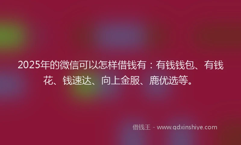 2025年的微信可以怎样借钱有：有钱钱包、有钱花、钱速达、向上金服、鹿优选等。