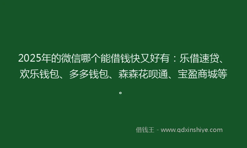 2025年的微信哪个能借钱快又好有：乐借速贷、欢乐钱包、多多钱包、森森花呗通、宝盈商城等。