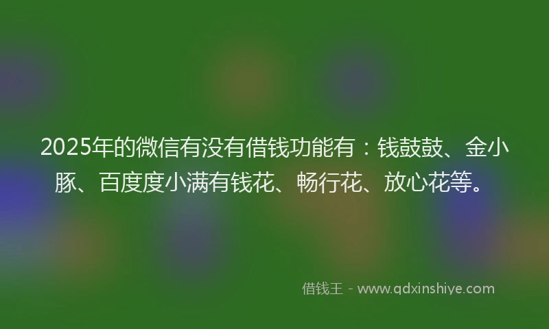 2025年的微信有没有借钱功能有：钱鼓鼓、金小豚、百度度小满有钱花、畅行花、放心花等。