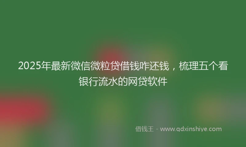 2025年最新微信微粒贷借钱咋还钱，梳理五个看银行流水的网贷软件