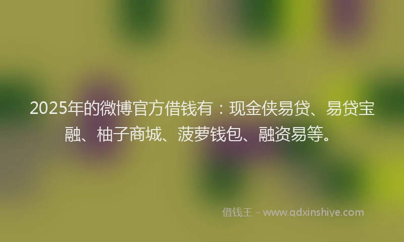 2025年的微博官方借钱有：现金侠易贷、易贷宝融、柚子商城、菠萝钱包、融资易等。