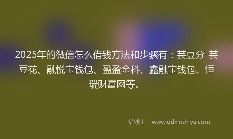 2025年的微信怎么借钱方法和步骤有：芸豆分-芸豆花、融悦宝钱包、盈盈金科、鑫融宝钱包、恒瑞财富网等。