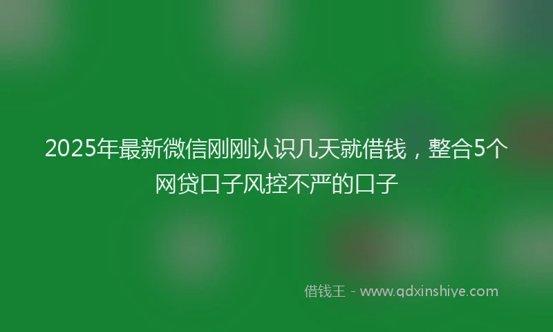 2025年最新微信刚刚认识几天就借钱，整合5个网贷口子风控不严的口子