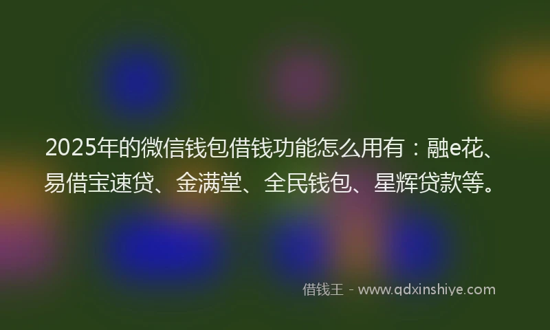 2025年的微信钱包借钱功能怎么用有：融e花、易借宝速贷、金满堂、全民钱包、星辉贷款等。