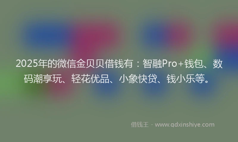 2025年的微信金贝贝借钱有：智融Pro+钱包、数码潮享玩、轻花优品、小象快贷、钱小乐等。