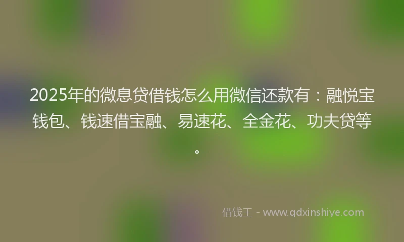 2025年的微息贷借钱怎么用微信还款有：融悦宝钱包、钱速借宝融、易速花、全金花、功夫贷等。