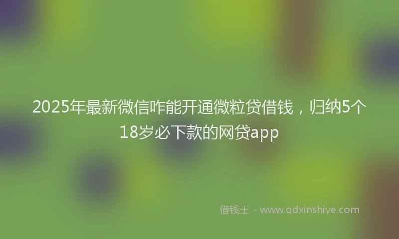 2025年最新微信咋能开通微粒贷借钱，归纳5个18岁必下款的网贷app