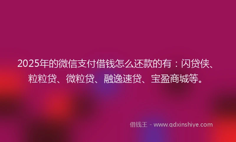 2025年的微信支付借钱怎么还款的有：闪贷侠、粒粒贷、微粒贷、融逸速贷、宝盈商城等。