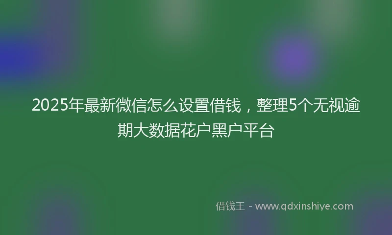 2025年最新微信怎么设置借钱，整理5个无视逾期大数据花户黑户平台