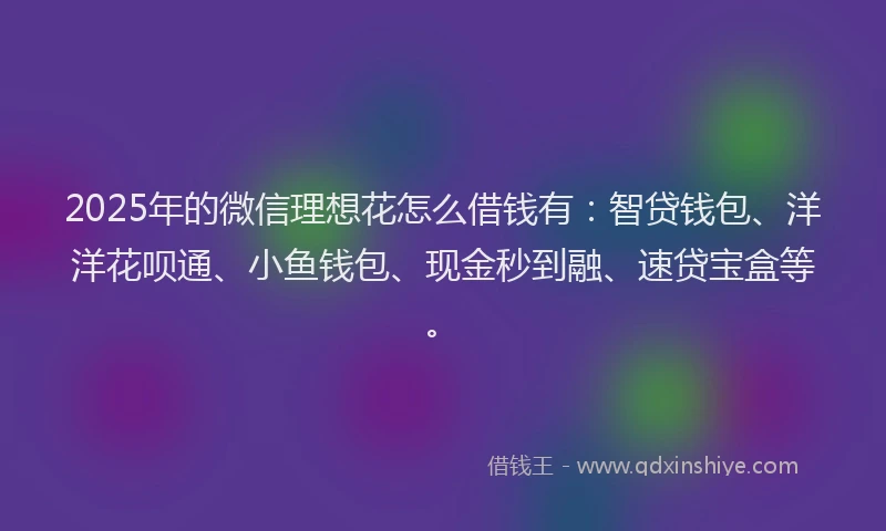 2025年的微信理想花怎么借钱有：智贷钱包、洋洋花呗通、小鱼钱包、现金秒到融、速贷宝盒等。