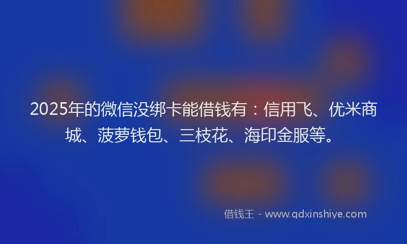 2025年的微信没绑卡能借钱有：信用飞、优米商城、菠萝钱包、三枝花、海印金服等。