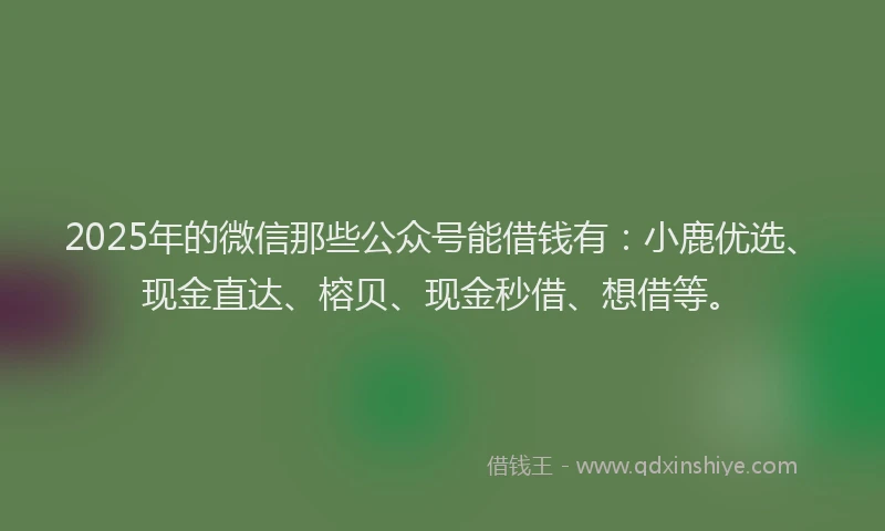 2025年的微信那些公众号能借钱有：小鹿优选、现金直达、榕贝、现金秒借、想借等。