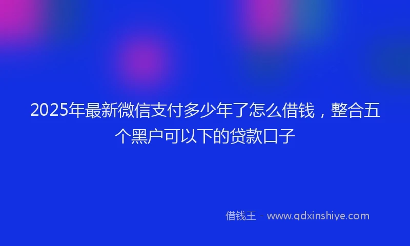 2025年最新微信支付多少年了怎么借钱，整合五个黑户可以下的贷款口子