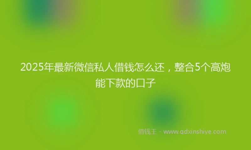 2025年最新微信私人借钱怎么还，整合5个高炮能下款的口子