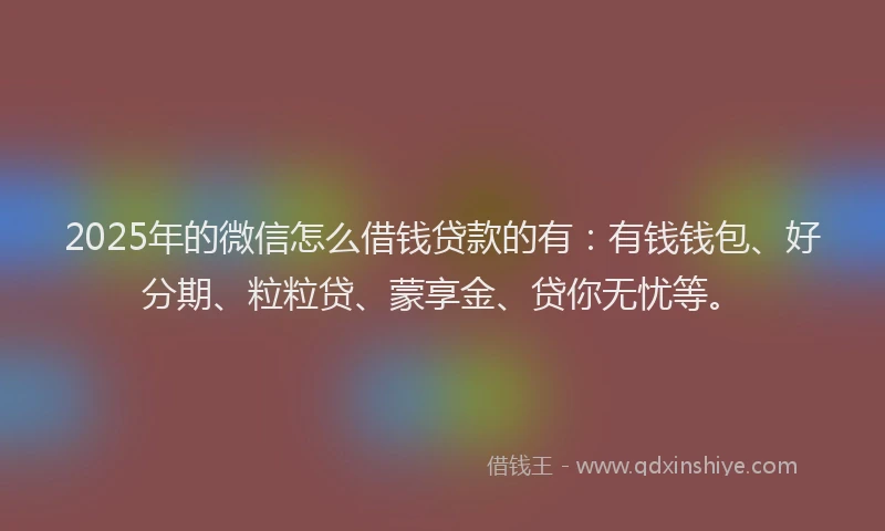 2025年的微信怎么借钱贷款的有：有钱钱包、好分期、粒粒贷、蒙享金、贷你无忧等。