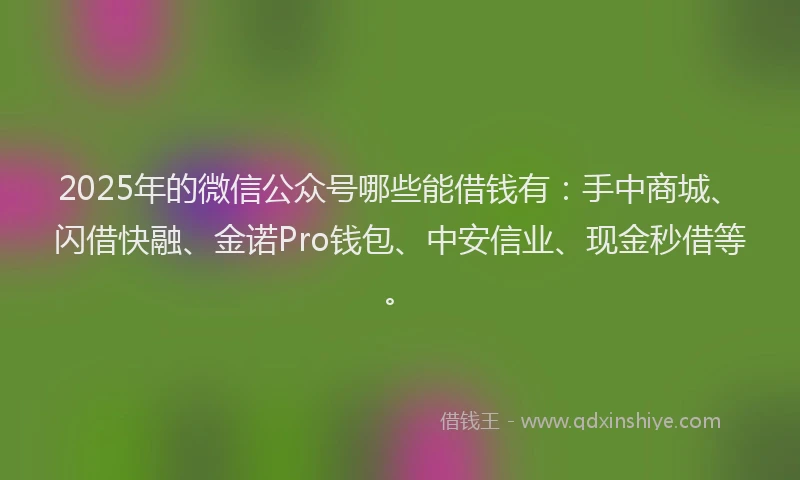 2025年的微信公众号哪些能借钱有：手中商城、闪借快融、金诺Pro钱包、中安信业、现金秒借等。