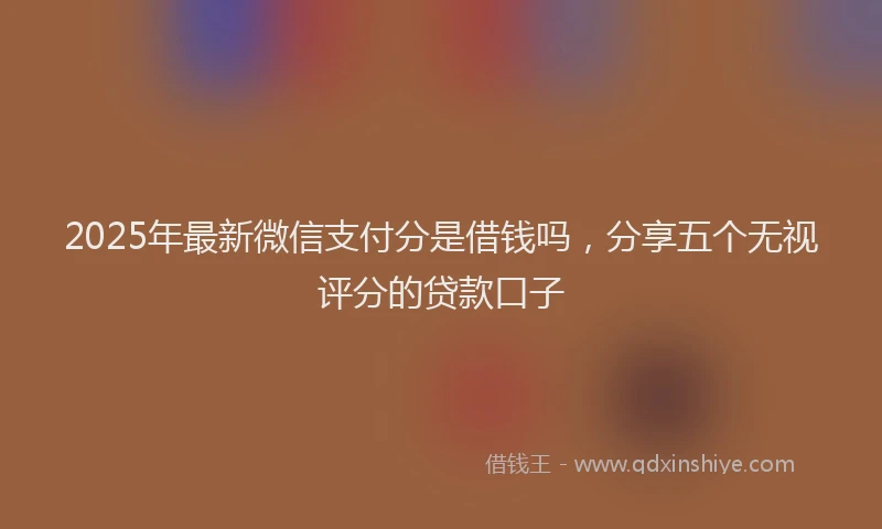 2025年最新微信支付分是借钱吗，分享五个无视评分的贷款口子