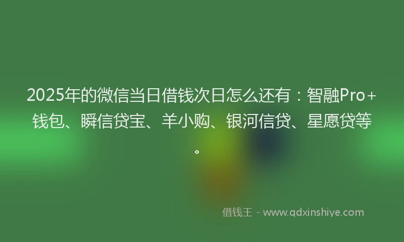 2025年的微信当日借钱次日怎么还有：智融Pro+钱包、瞬信贷宝、羊小购、银河信贷、星愿贷等。