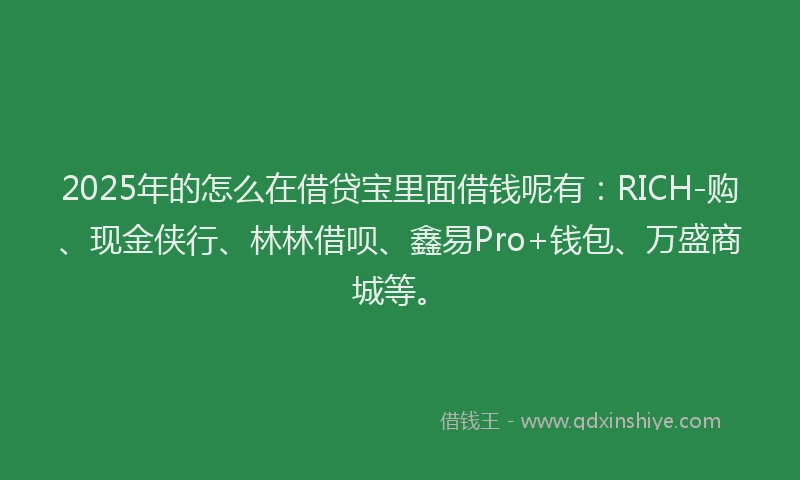2025年的怎么在借贷宝里面借钱呢有：RICH-购、现金侠行、林林借呗、鑫易Pro+钱包、万盛商城等。