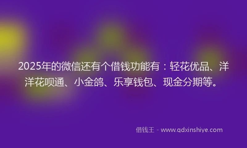 2025年的微信还有个借钱功能有：轻花优品、洋洋花呗通、小金鸽、乐享钱包、现金分期等。