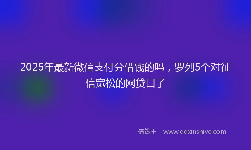 2025年最新微信支付分借钱的吗，罗列5个对征信宽松的网贷口子