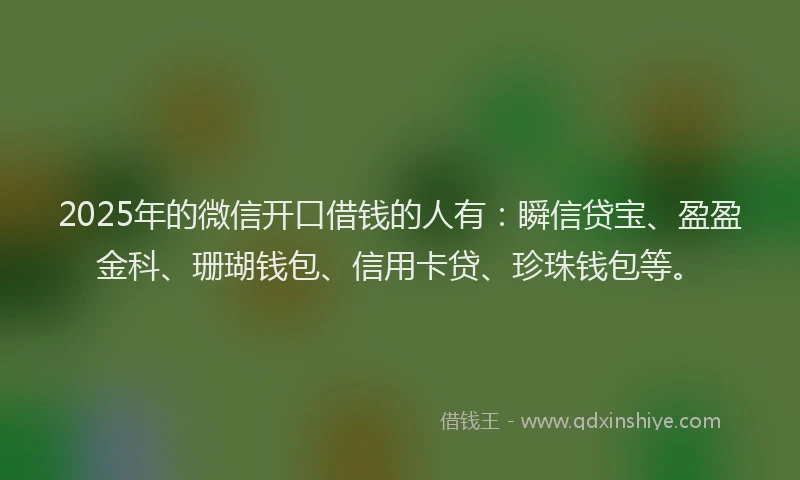 2025年的微信开口借钱的人有：瞬信贷宝、盈盈金科、珊瑚钱包、信用卡贷、珍珠钱包等。