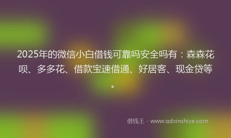 2025年的微信小白借钱可靠吗安全吗有：森森花呗、多多花、借款宝速借通、好居客、现金贷等。