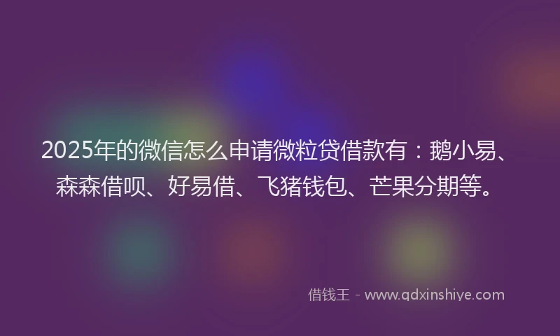 2025年的微信怎么申请微粒贷借款有：鹅小易、森森借呗、好易借、飞猪钱包、芒果分期等。