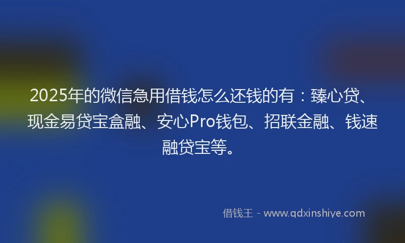 2025年的微信急用借钱怎么还钱的有：臻心贷、现金易贷宝盒融、安心Pro钱包、招联金融、钱速融贷宝等。