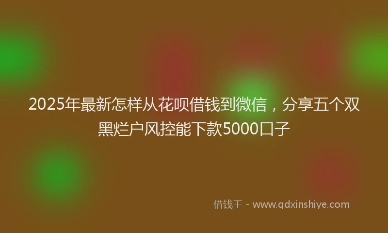 2025年最新怎样从花呗借钱到微信，分享五个双黑烂户风控能下款5000口子