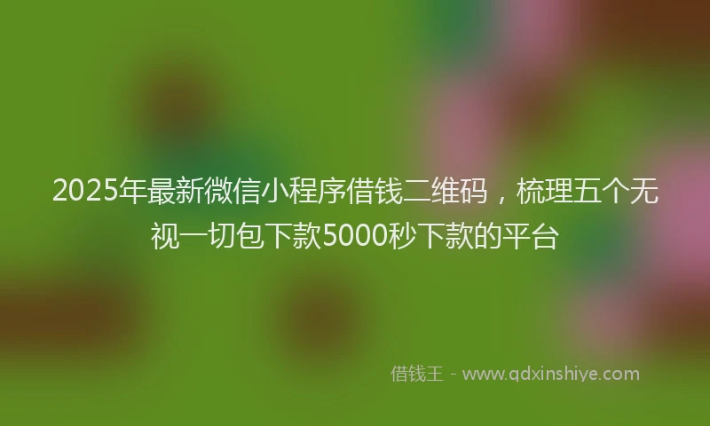 2025年最新微信小程序借钱二维码，梳理五个无视一切包下款5000秒下款的平台