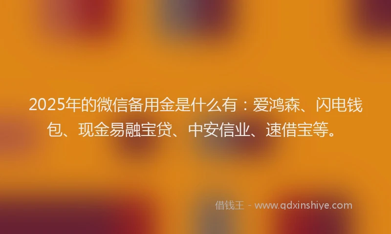 2025年的微信备用金是什么有：爱鸿森、闪电钱包、现金易融宝贷、中安信业、速借宝等。