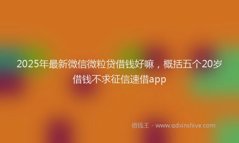 2025年最新微信微粒贷借钱好嘛，概括五个20岁借钱不求征信速借app