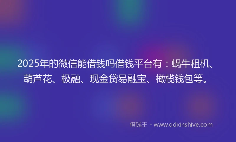 2025年的微信能借钱吗借钱平台有：蜗牛租机、葫芦花、极融、现金贷易融宝、橄榄钱包等。