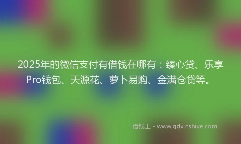 2025年的微信支付有借钱在哪有：臻心贷、乐享Pro钱包、天源花、萝卜易购、金满仓贷等。