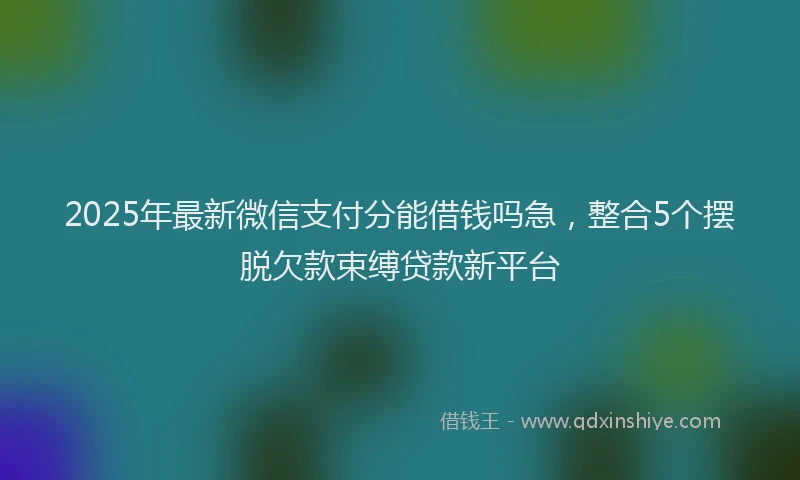 2025年最新微信支付分能借钱吗急，整合5个摆脱欠款束缚贷款新平台