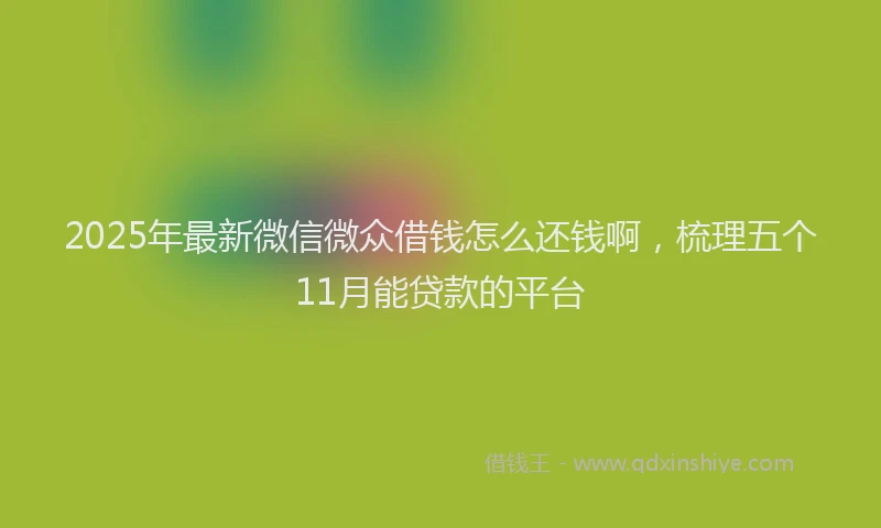 2025年最新微信微众借钱怎么还钱啊，梳理五个11月能贷款的平台