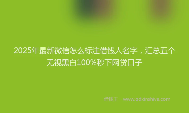 2025年最新微信怎么标注借钱人名字，汇总五个无视黑白100%秒下网贷口子
