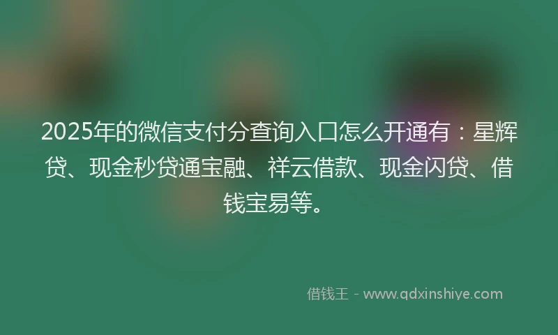 2025年的微信支付分查询入口怎么开通有：星辉贷、现金秒贷通宝融、祥云借款、现金闪贷、借钱宝易等。