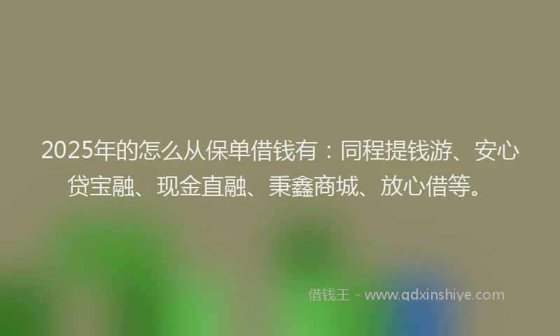 2025年的怎么从保单借钱有：同程提钱游、安心贷宝融、现金直融、秉鑫商城、放心借等。