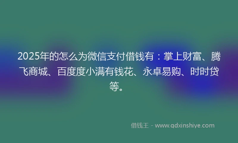 2025年的怎么为微信支付借钱有：掌上财富、腾飞商城、百度度小满有钱花、永卓易购、时时贷等。